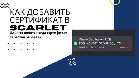 Что делать, если сертификат Ростест срок годности истек на iPhone