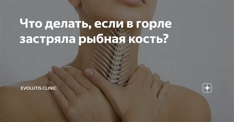 Что делать, если собаке встала кость