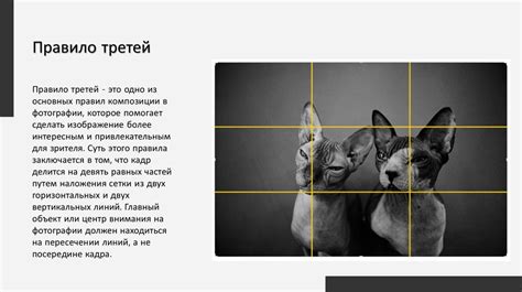 Что делать после получения идеальной фотографии на телефоне