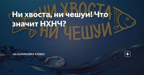 Что значит выражение "ни хвоста ни чешуи"