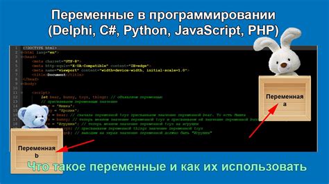 Что значит Junior в программировании?