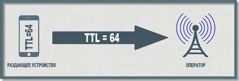 Что значит TTL и как это влияет на использование iPhone