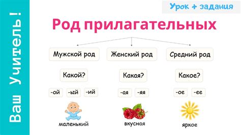 Что именно определяют родовые прилагательные?