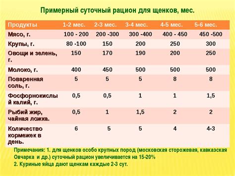 Что кормить овчарку в 6 месяцев