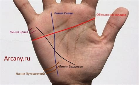 Что могут означать линии на левой ладони руки?