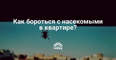 Что может кусать в квартире