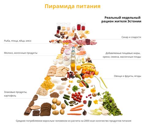 Что нужно знать о свежести продуктов