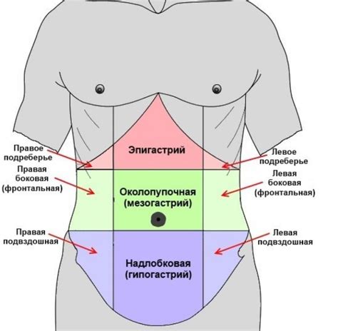 Что означает ощущение наполнения низа живота?