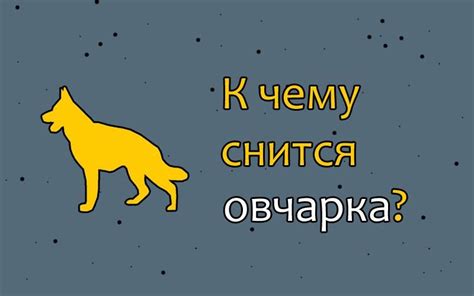 Что означает сновидение, в котором собака кусает: символика