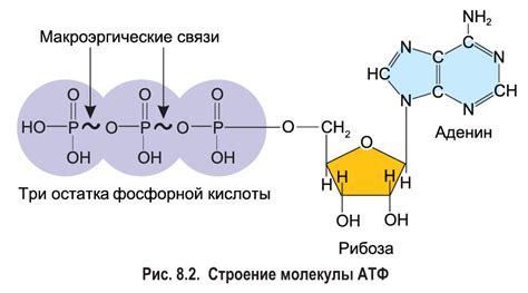 Что представляет собой "элдыс"