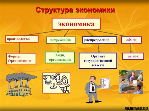 Что представляет собой экономика?