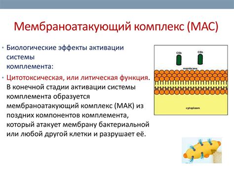 Что представляет собой VFS?