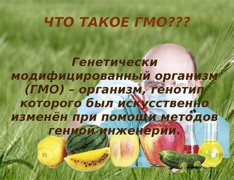 Что такое ГМО