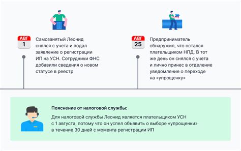 Что такое ИП УСН и НПД