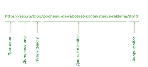 Что такое СМТ-форез и какая у него структура