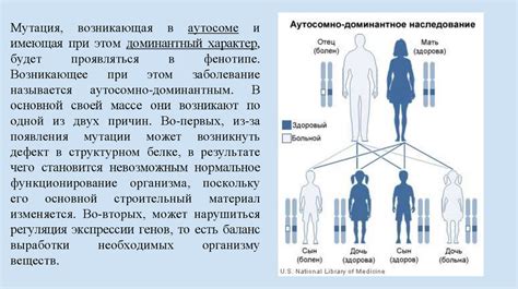 Что такое аутосомно доминантный тип наследования?