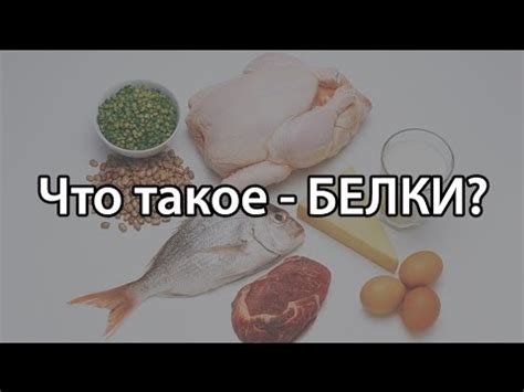 Что такое белки