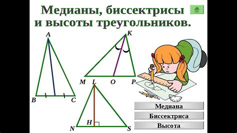 Что такое биссектриса треугольника