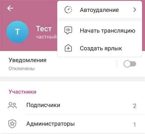 Что такое видеочат в Телеграм?