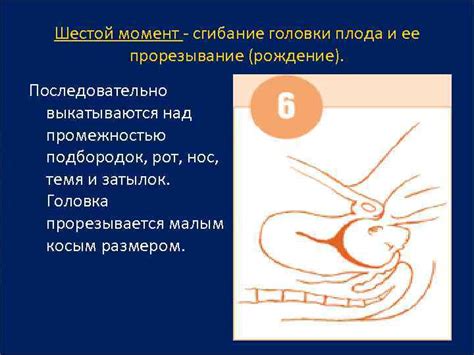 Что такое врезывание головки плода и прорезывание головки: особенности и последствия