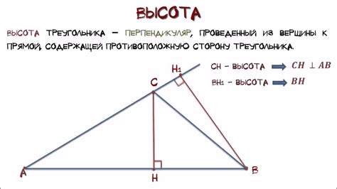 Что такое высота окружности