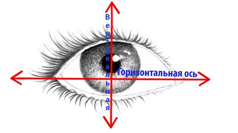 Что такое горизонтальное и вертикальное искусство глаза