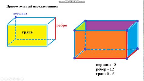 Что такое грани прямоугольного параллелепипеда?