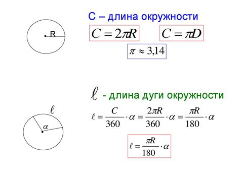 Что такое длина дуги и площадь сектора