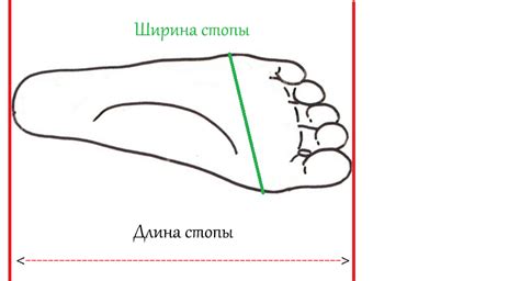 Что такое длина стопы?