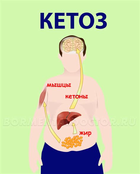 Что такое кетоз и как он работает