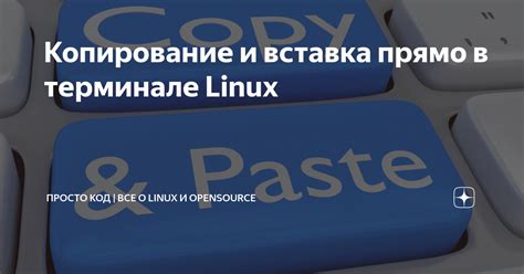 Что такое копирование в терминале Linux