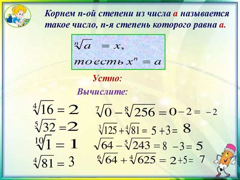 Что такое корень числа в алгебре