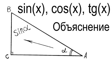 Что такое косинус и его значение