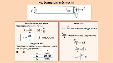 Что такое коэффициент упругости и какие его виды существуют?