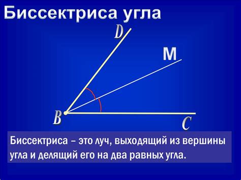 Что такое луч и биссектриса угла?