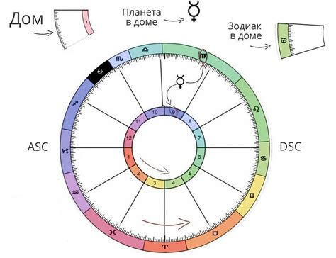 Что такое натальная карта в гороскопе