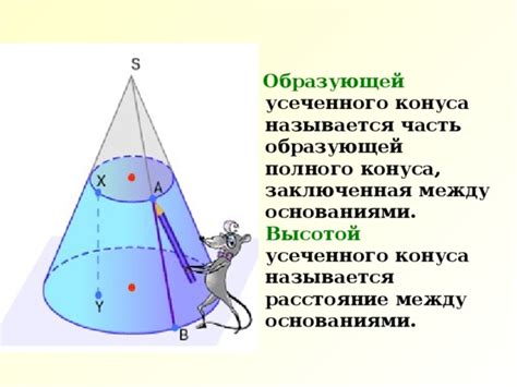 Что такое образующая конуса