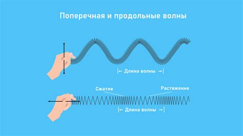 Что такое продольная волна в физике?