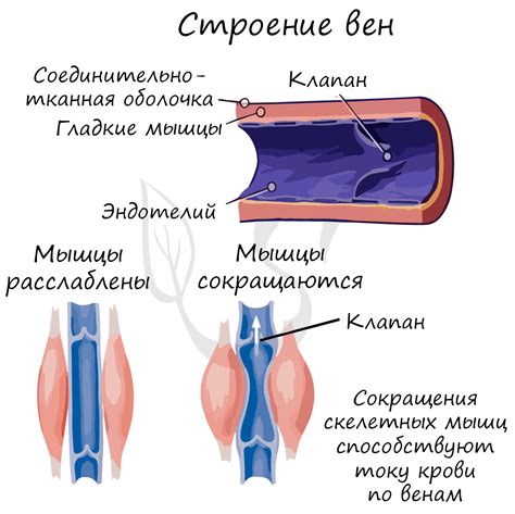 Что такое разрыв сосуда в веке?