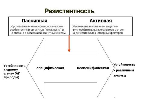 Что такое резистентность в медицине и почему она важна