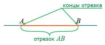 Что такое середина отрезка