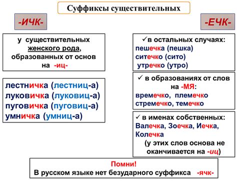 Что такое суффикс и омоним