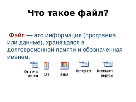 Что такое файл и какие его возможности