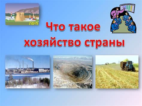 Что такое хозяйство страны?