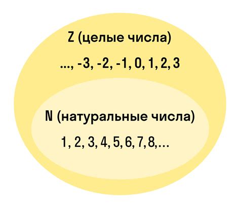 Что такое целое число и дробное число?