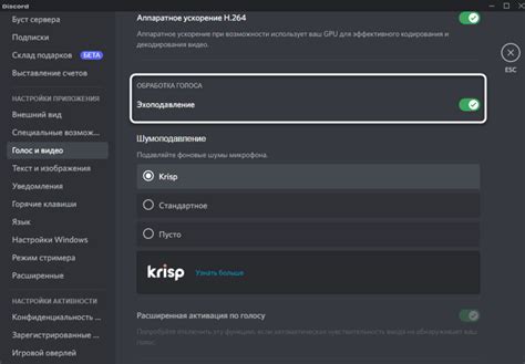 Что такое эхо в Discord и как с ним бороться