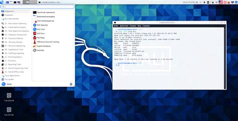 Что такое Kali Linux и Linux: основы и назначение