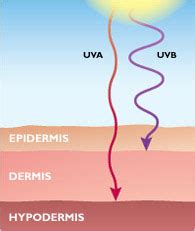 Что такое UVA и UVB лучи: советы по защите от них