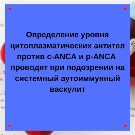 Что такое asca и anca в анализе крови?