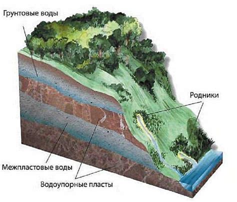 Шаги измерения уровня грунтовых вод на основе растений